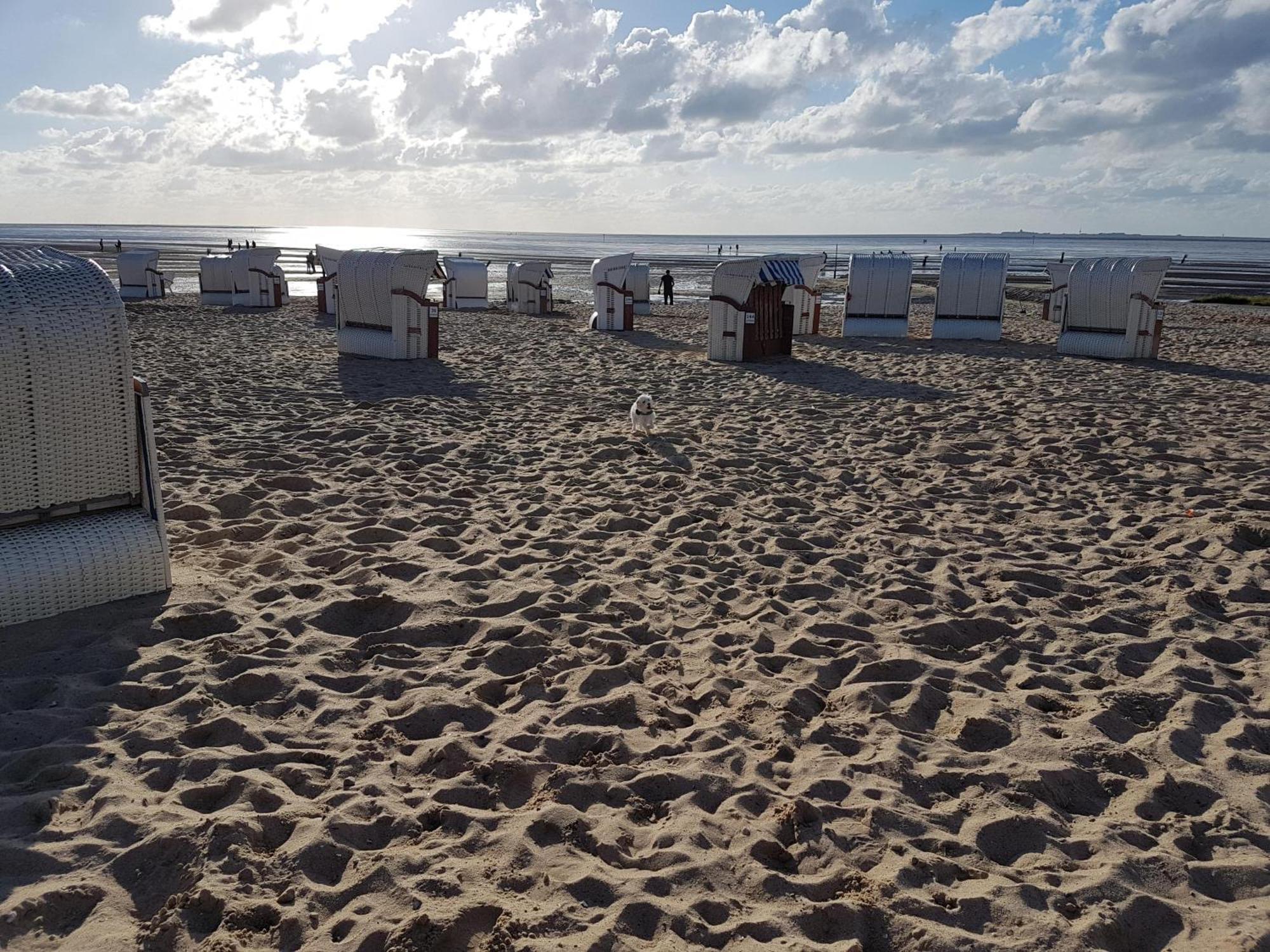 Watt & Wind - Tolles Schwimmbad Apartman Cuxhaven Kültér fotó